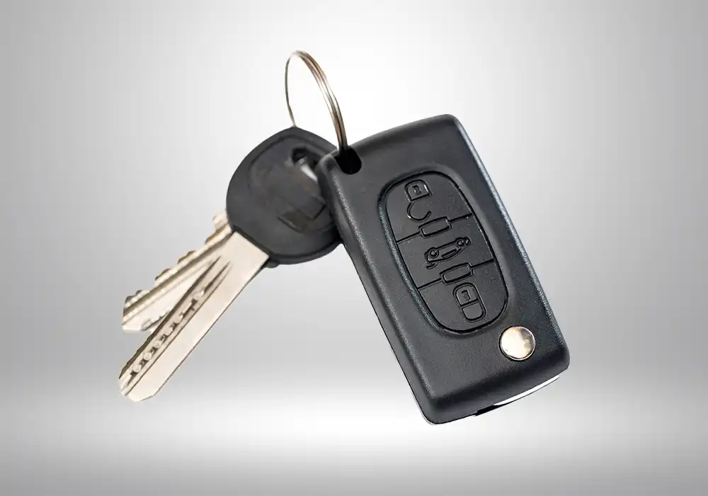 Two Button Keyless Entry Remote Flip Folding Car Key